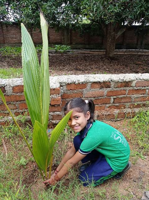 ECO CLUB ACTIVITY EK  PED KE NAAM 2.0